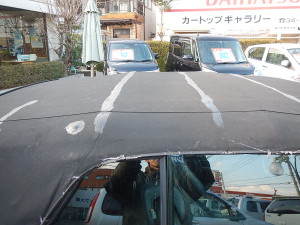 DSCN3784