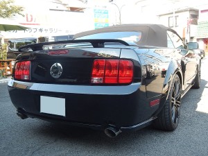DSCN4947