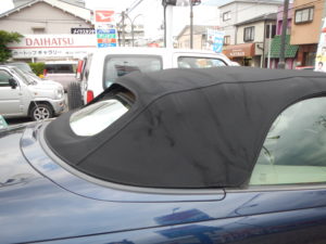 dscn5365